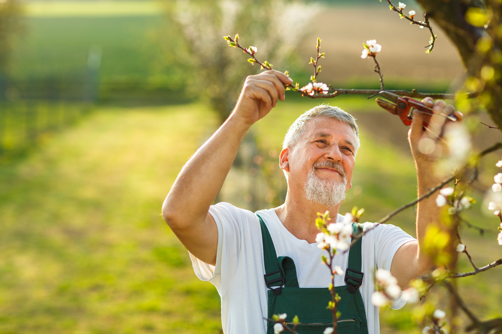 Spring cleaning blog