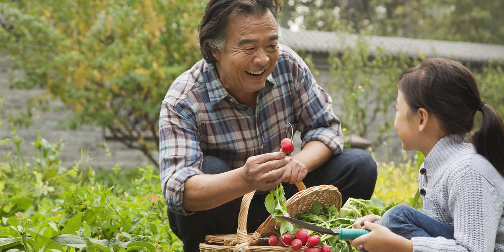 health benefits of growing a garden