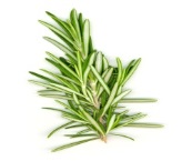 rosemary.jpg