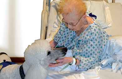 Mather Hospital Animal Assisted Therapy