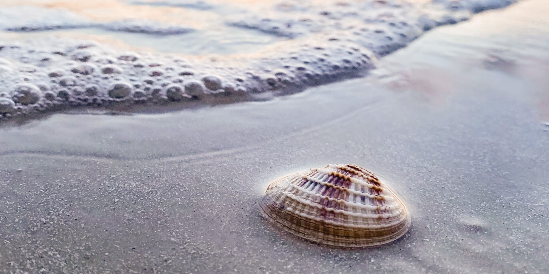 Finding_Purpose_Every_Day_Unsplash