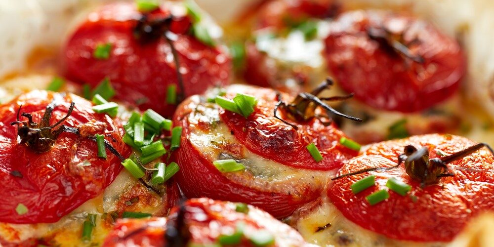 Grilled stuffed tomatoes for a summer meal 8-6-19