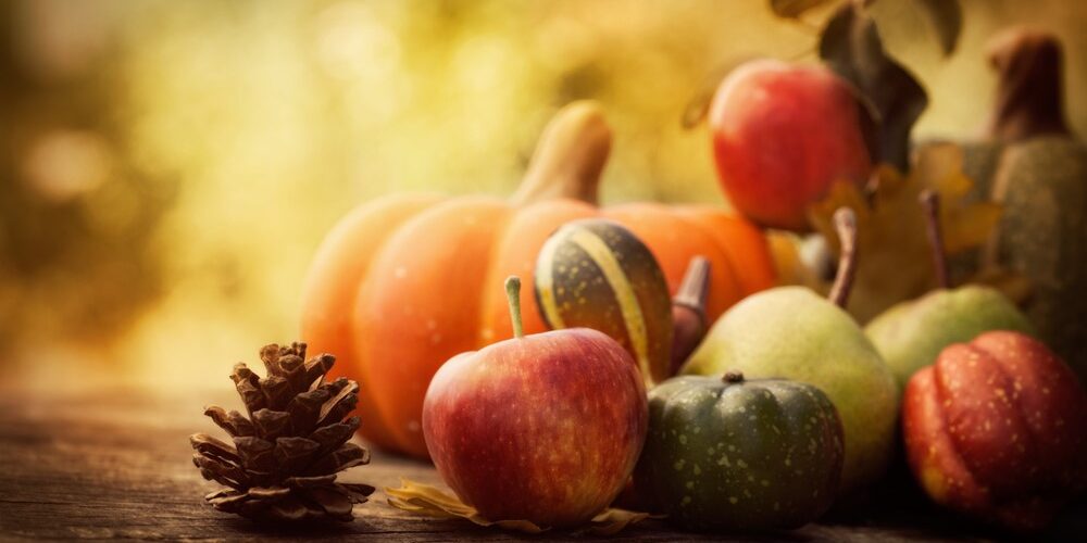 Enjoy fall fun and seasonal foods 10-21-19