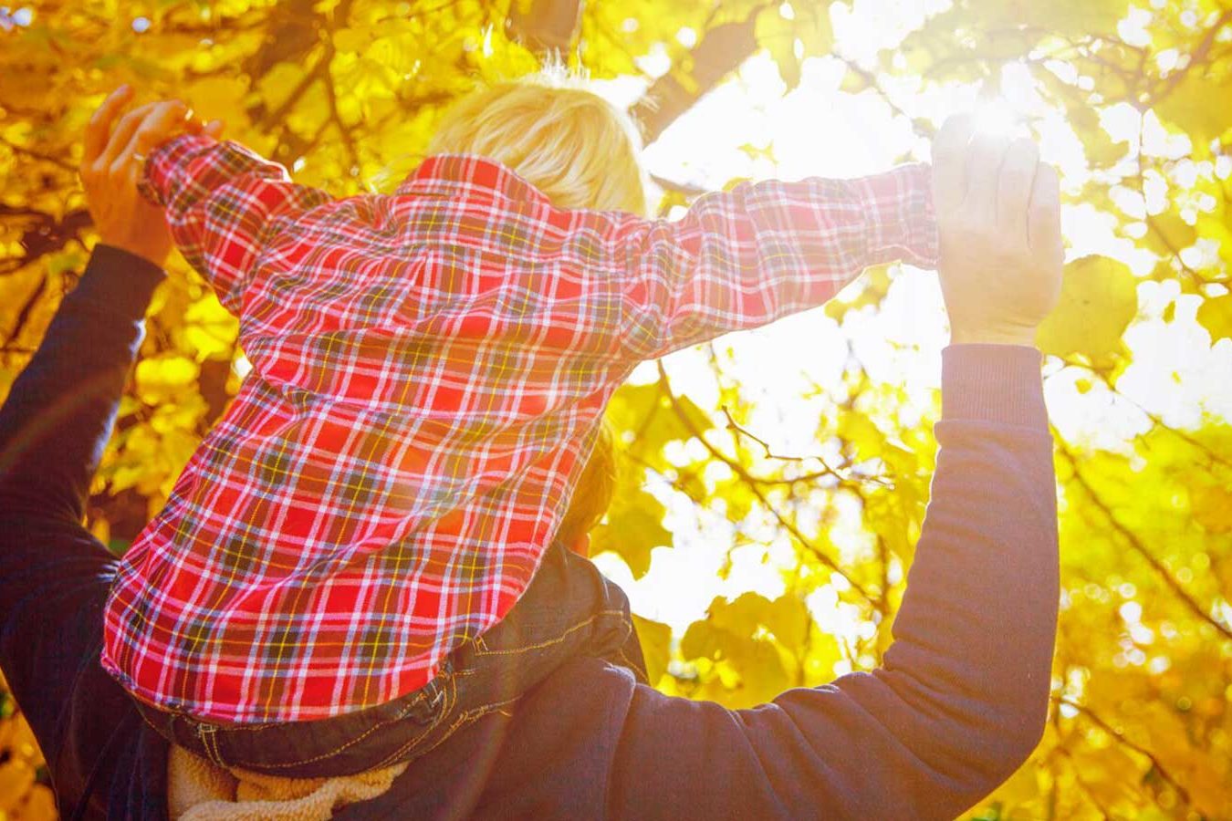 Boy on Parents Shoulders Boy on Parents Shoulders