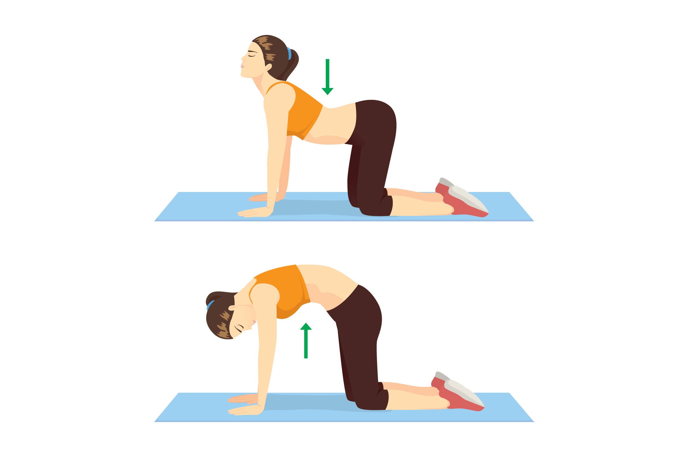 Yoga pose cat cow illustration - Mather Hospital