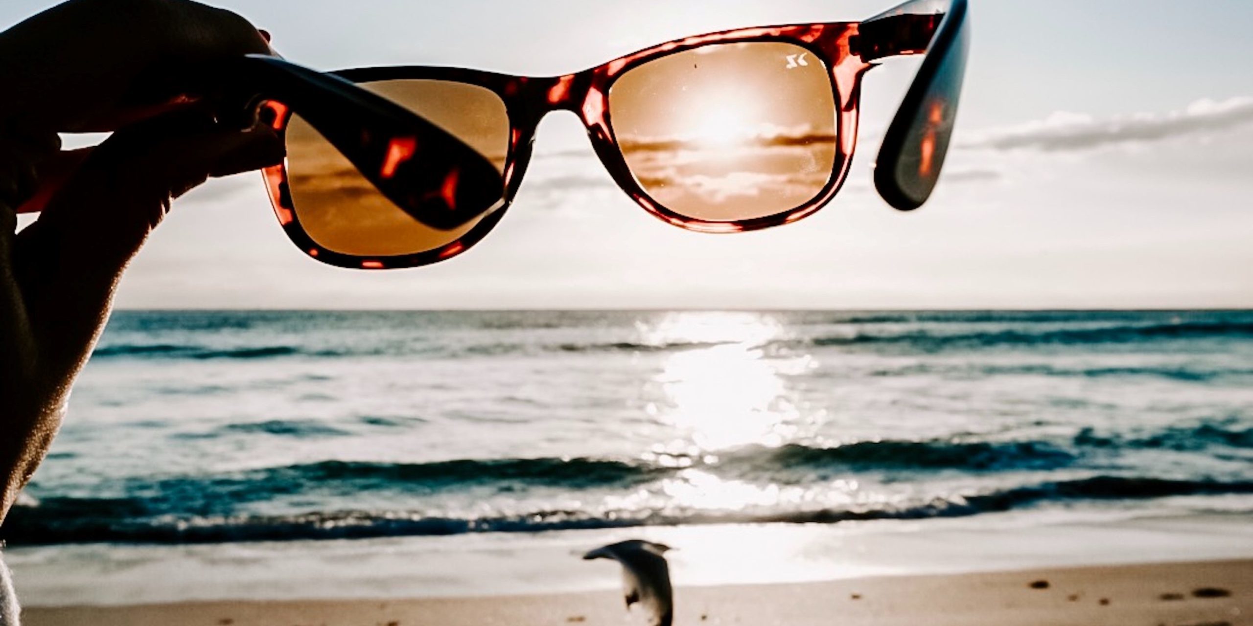 Sunglasses Sunglasses