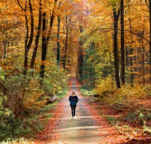 Walking in the Fall 