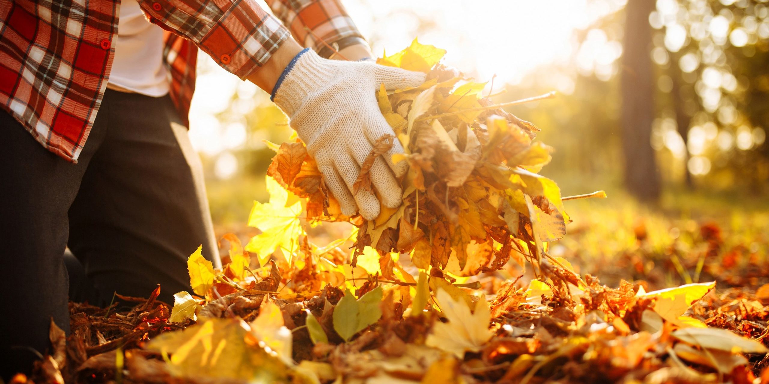 turn-over-a-new-leaf-getting-through-your-fall-cleanup-injury-free