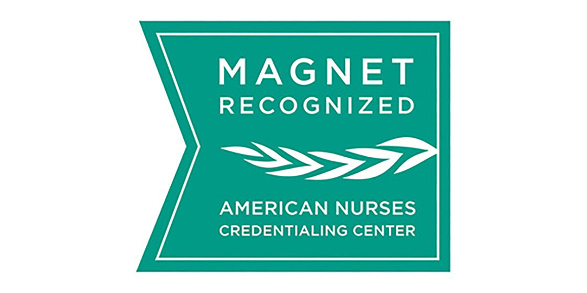 Web_Magnet-Recognition_logo