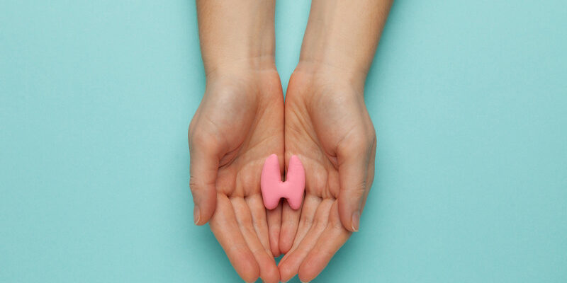 webimage-8EDF0EDC-052B-4FB5-A5E1AD556BBA03AF