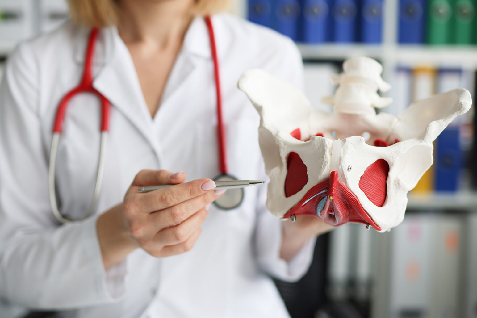 Pelvic Floor Changes after 40